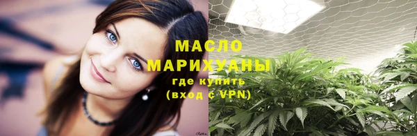 индика Волоколамск