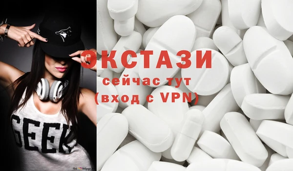 индика Волоколамск