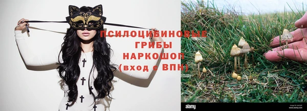 2c-b Волосово