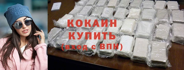 индика Волоколамск