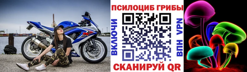 хочу наркоту  Снежинск  Галлюциногенные грибы прущие грибы 